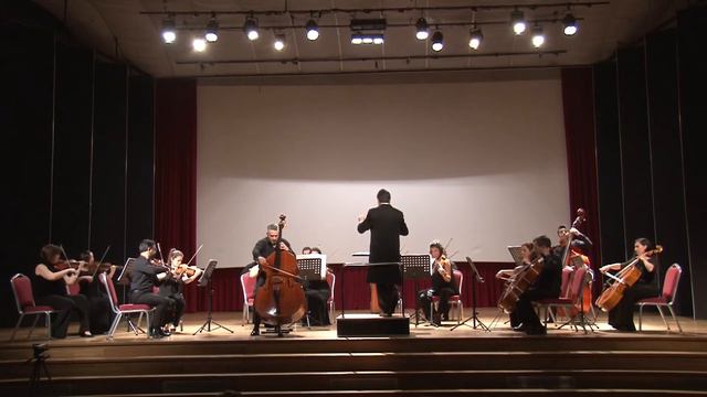 Serge Koussevitzky - Concerto for Double Bass and Orchestra 1st mov. смотреть онлайн