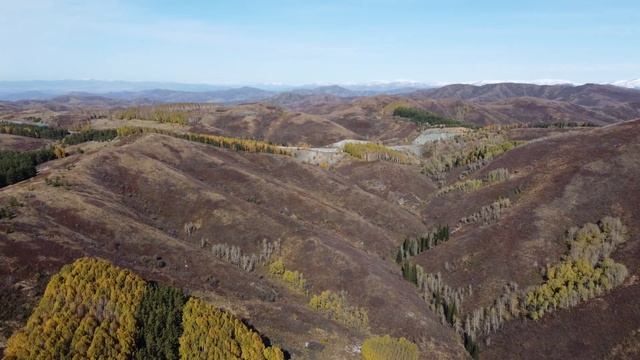 Осенние пейзажи по дороге на бухтарму. 10.10.2021 смотреть онлайн