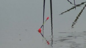 Применяю новую снасть в ловле крупного карася на поплавок,16 серия