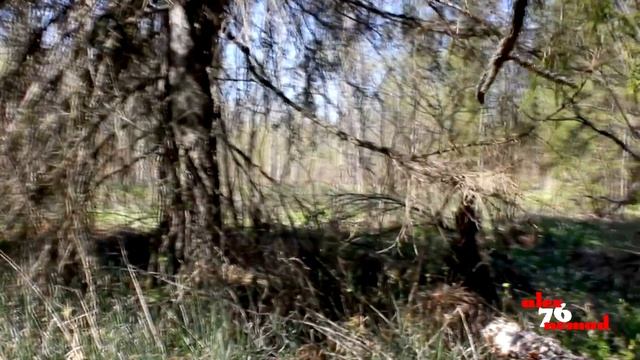 пос. Зеленогорский, река Кедровка смотреть онлайн