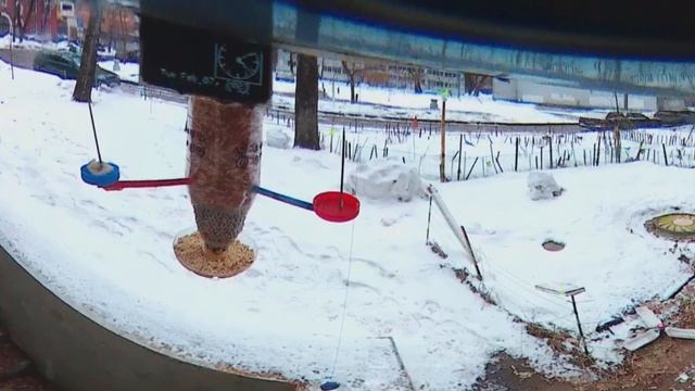 Под окном 2023 фев 07 Проходимцы поискуны смотреть онлайн