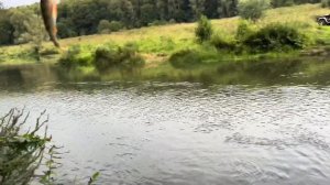 Рыбалка на реке Осетр. Первый жерех и ускользающие щуки