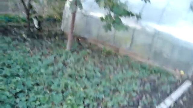 В саду перед морозами смотреть онлайн