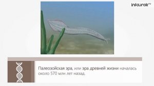 История развития органического мира | Биология 9 класс #33 | Инфоурок