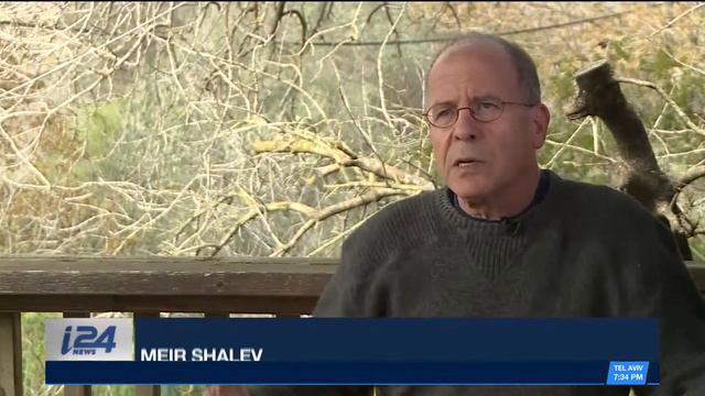 Bestselling author Meir Shalev reflects on Israel at 70 смотреть онлайн