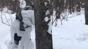 Охота на кабана с ножом и лайками