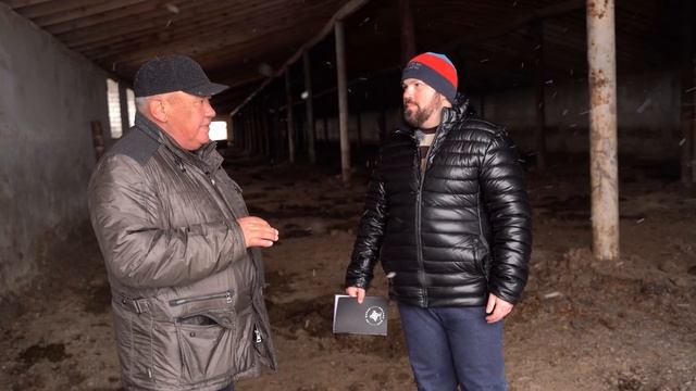 Племенные акбасы и аулиеколи Казахстана: секреты ухода и ветеринарного контроля | Приречное | Eldal смотреть онлайн