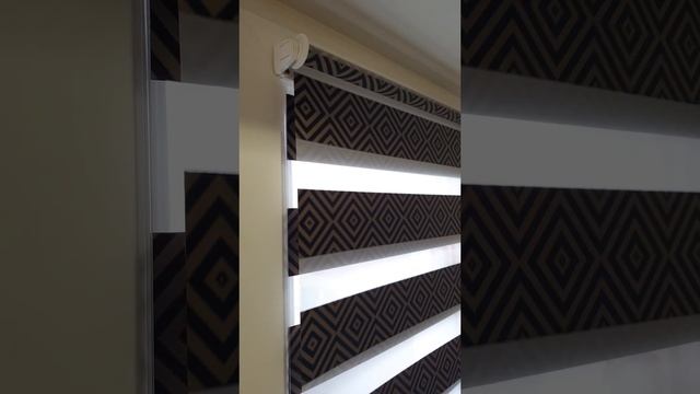 Рулонные шторы ДЕНЬ-НОЧЬ SUNNY. Заказать по индивидуальным размерам в Запорожье смотреть онлайн