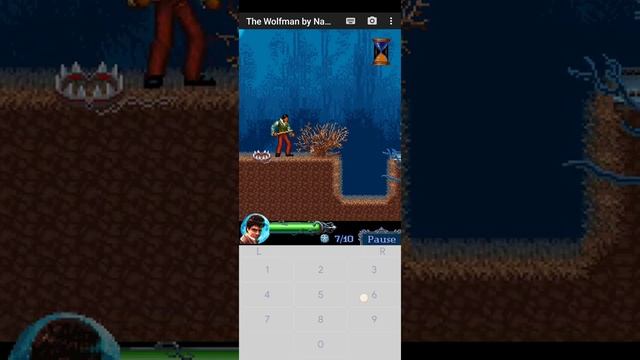 The Wolfman - Java Game - Walkthrough - Level 2 : The Village Moors Part 2 смотреть онлайн