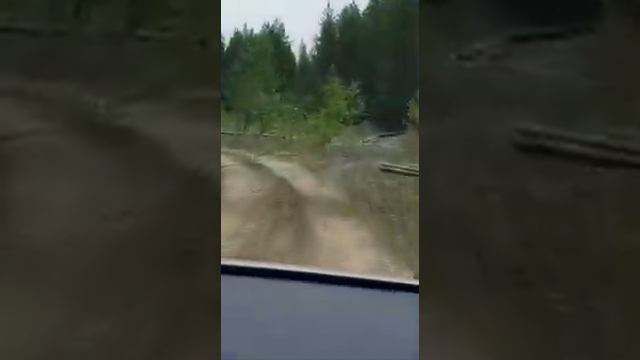 Поселок Знаменка республика коми (10 катище) июль 2019 смотреть онлайн