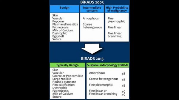BI RADS