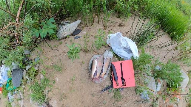 Поход в поисках Тайменя ч.1. смотреть онлайн