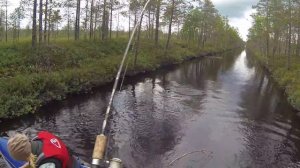 Походы в Карелии. Лесные озера. Рыбалка в Карелии