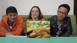 Иностранцы смотрят СОВЕТСКИЕ МУЛЬТИКИ | 38 ПОПУГАЕВ