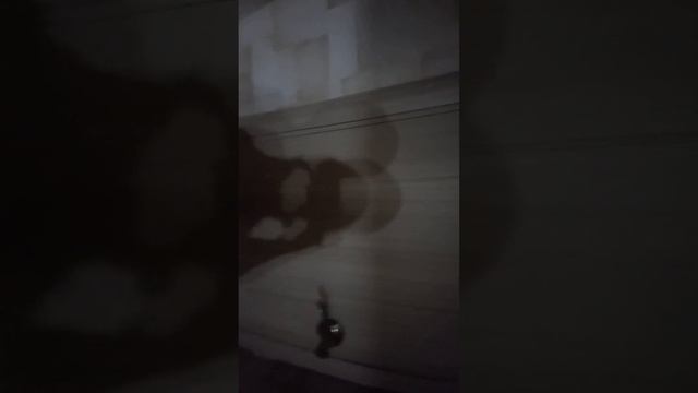 Туториал. Как открыть холодильник. смотреть онлайн