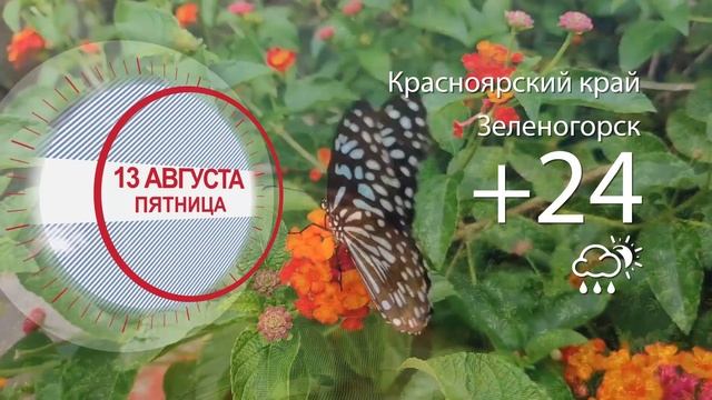 Погода в Красноярском крае на 13.08.2021 смотреть онлайн
