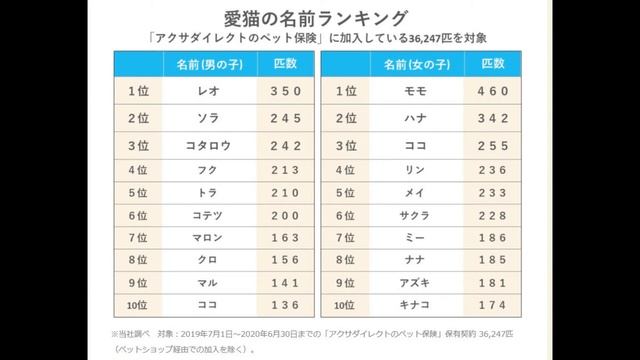 Какие в Японии имена дают котам и кошкам. 猫の名前 смотреть онлайн