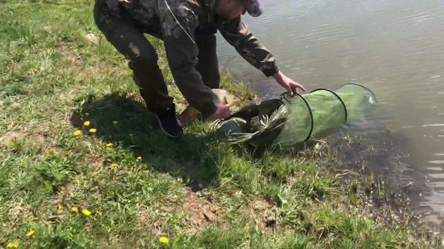 Карп на 7 Га. РК Фишка Петряиха смотреть онлайн