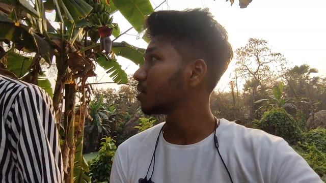 Canning a biye bari khete gelam? l Bengali vlog l Amit vlogs Kolkata смотреть онлайн