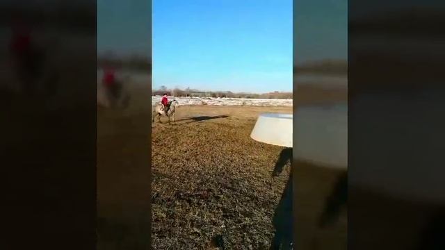 9майга дайрдык кок бору москва смотреть онлайн