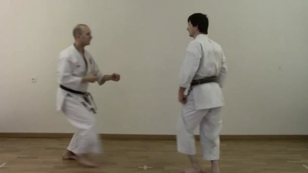 Heian Sandan - Shotokan Kata Bunkai