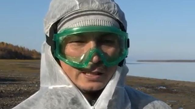 Вакцинация от бешенства плотоядных животных 29 09 2021 смотреть онлайн