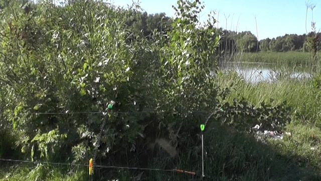 Чувствительная снасть. Кивок и сигнализатор одновременно. Альтернатива бубенчикам. смотреть онлайн