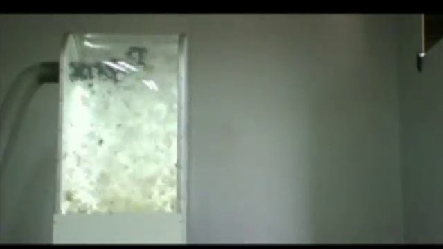 презентация новинок 2016-2017. Переработка пух перо,реставрация подушек, одеял смотреть онлайн