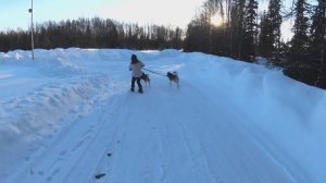 Жизнь и работа в штате #АЛЯСКА