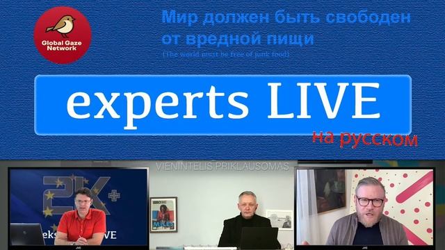 Asociacijos „Global Gaze Network“ vadovo komentaras dėl ekspertai.eu смотреть онлайн