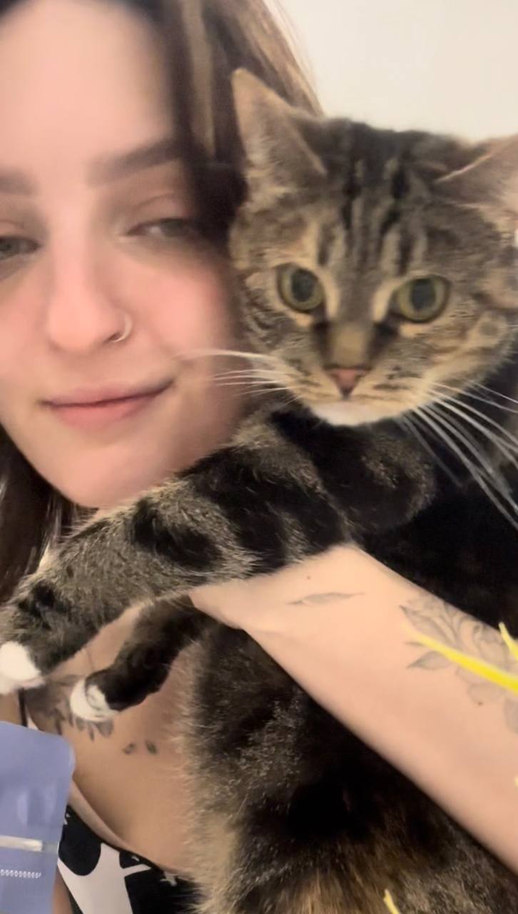 Готовить для кошки может каждый. Сухой корм для кошек Jarvi - моя любовь!