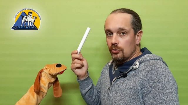 Апорт. Шаг первый. подробная инструкция! смотреть онлайн