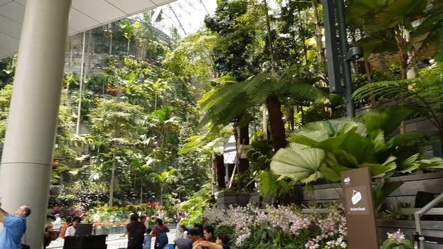 Аэропорт Сингапур. Есть что посмотреть) смотреть онлайн