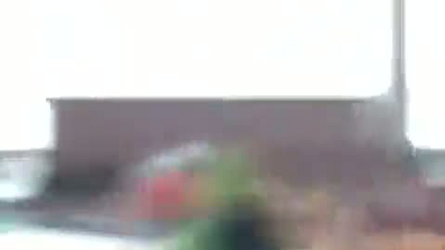 Киркоров ударил поклонницу / www.kengarags.ru смотреть онлайн