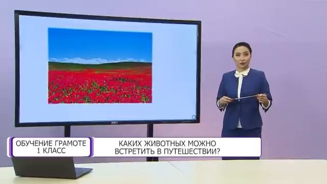Обучение грамоте. 1 класс. Каких животных можно встретить в путешествии? /20.01.2021/ смотреть онлайн