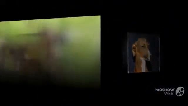 Итальянская левретка порода собак смотреть онлайн