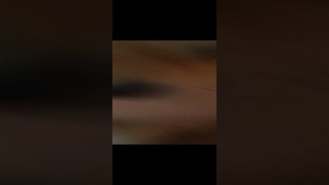моя собака смотреть онлайн