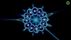 Омоложение организма  Остановка процессов старения АНДРЕЙ РАКИЦККИЙ