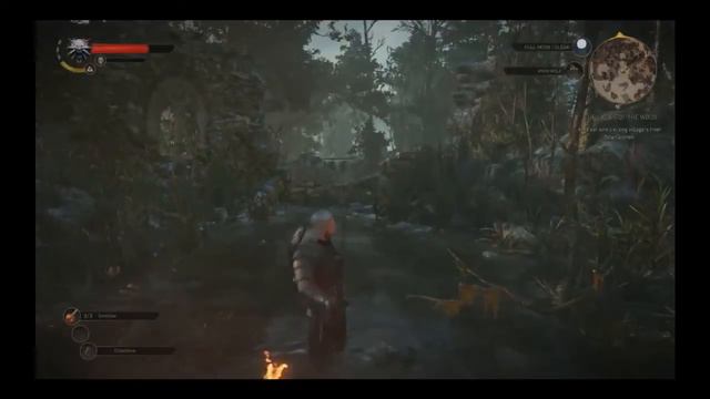 Боевые сцены игры The Witcher 3: Wild Hunt смотреть онлайн