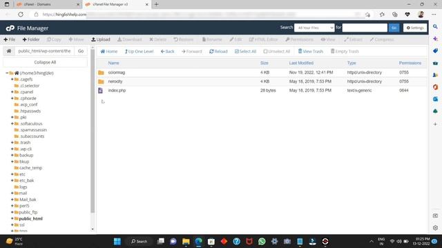 WordPress Deleted Themes Restore kaise kare | How to recover Deleted wordpress themes смотреть онлайн