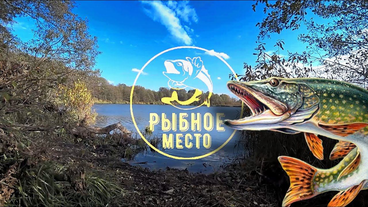Щучьи места . Почему щука не хочет брать. смотреть онлайн
