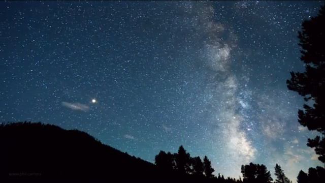 Сплин - Череп и Кости