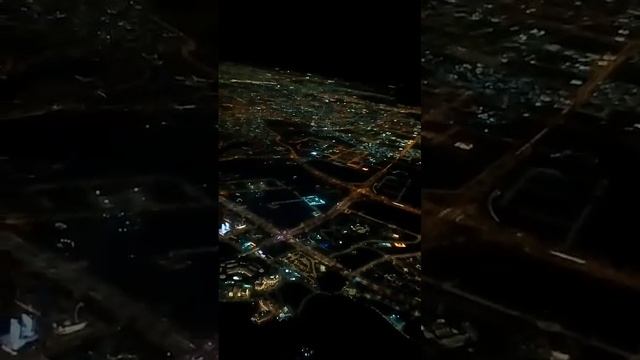 Город-дача-собаки=)наша жизнь