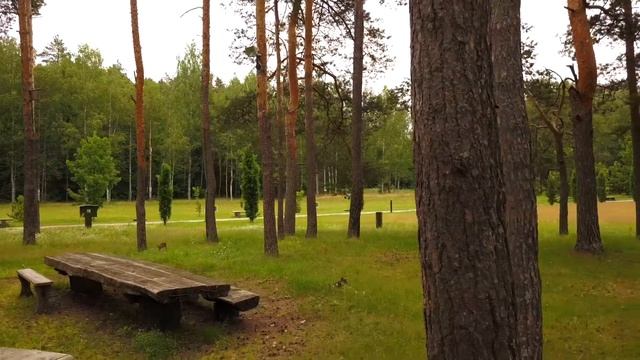 Партизанская Поляна Брянск