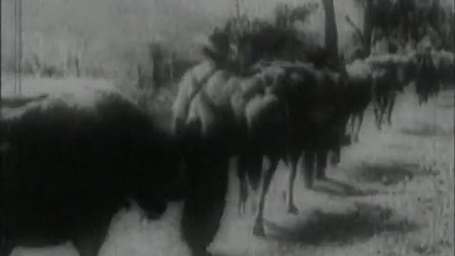 Ударная сила - 7. Смертельный град смотреть онлайн