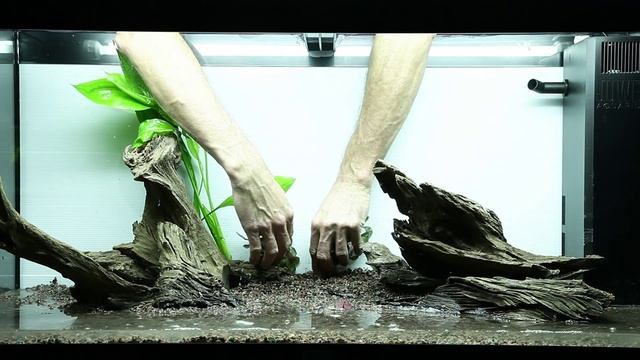 Layout 89 by Tropica - Juwel Rio 180 (180L) смотреть онлайн