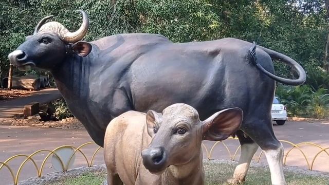 Эти два места в Гоа обязан увидеть каждый | Самый древний храм и единственный зоопарк курорта Инди смотреть онлайн