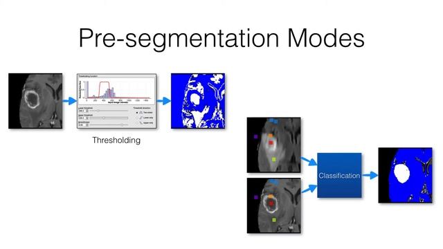 RSNA 2016 ITK-SNAP Training - Automatic Segmentation смотреть онлайн