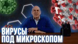 Атомно-силовая микроскопия вирусов