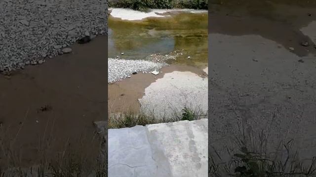 *Чёрная цапля!!!!* смотреть онлайн